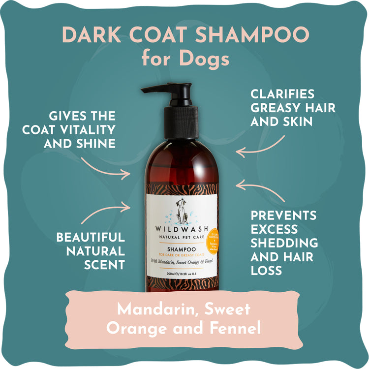 Dark and Greasy Wildwash Shampoo