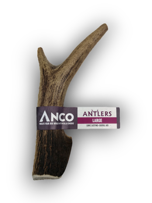 Antler (Large)