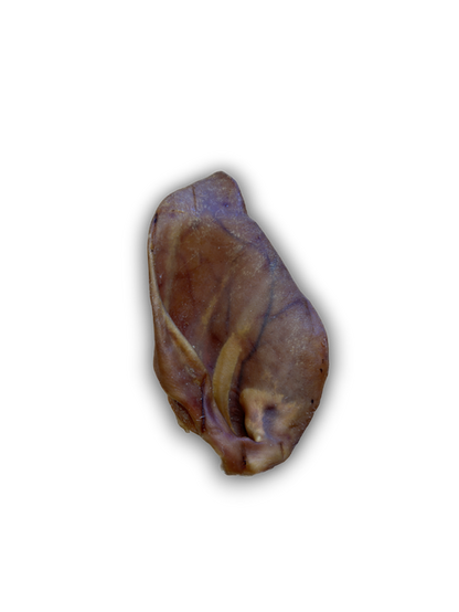 Pig Ear