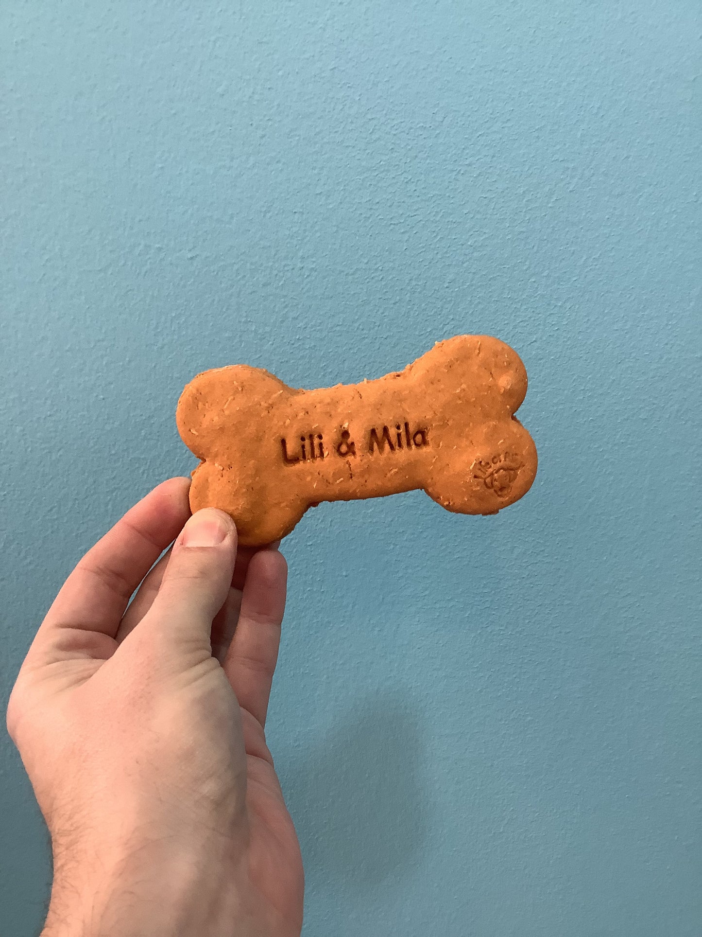 DONATE Lili + Mila Peanut Butter Bone (Biscuit)