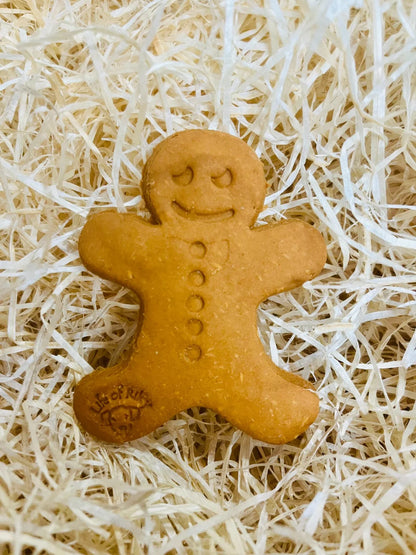 DONATE Gingerbread Man (Biscuit) My Store