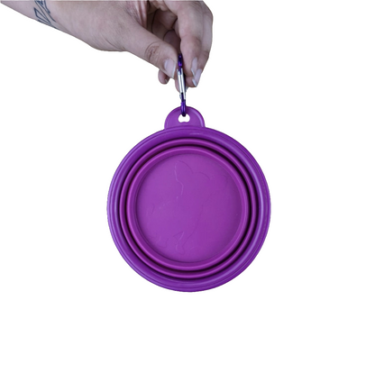 Collapsible water bowl - Purple