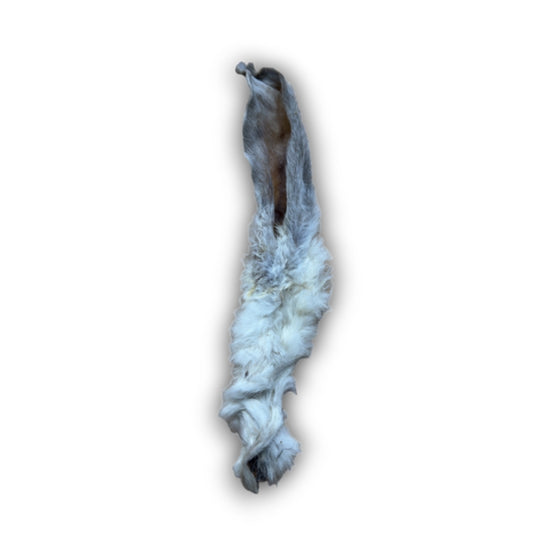 Fur On Rabbit Ear