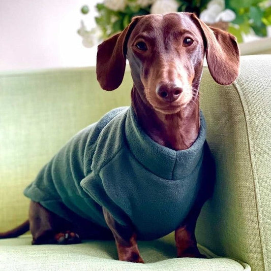 Green Daschund Fleece (Pawsome Suits)